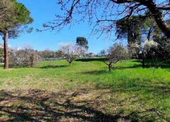 20220404_104328.jpg - Villa Pesaro - foto 18