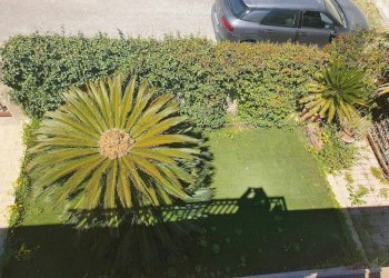 20220411_121737_compress71.jpg - Villa Modica - foto 2