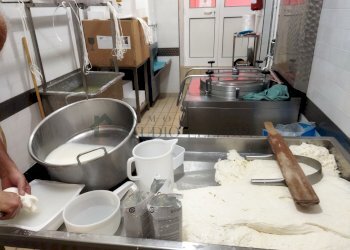 1649689087972.jpg - Non Alimentare CORSO VITTORIO EMANUELE III n°72, Sannicandro di Bari - foto 8