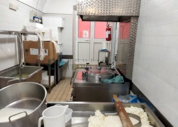 1649689456872.jpg - Non Alimentare CORSO VITTORIO EMANUELE III n°72, Sannicandro di Bari - foto 10