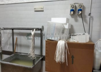 1649689456853.jpg - Non Alimentare CORSO VITTORIO EMANUELE III n°72, Sannicandro di Bari - foto 11