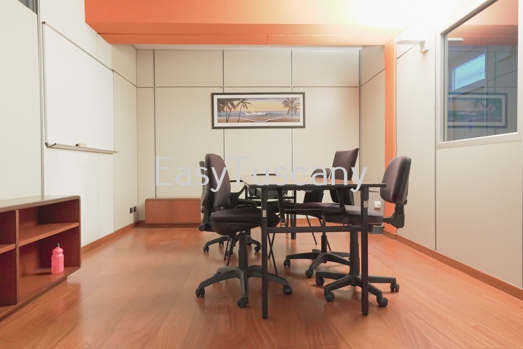 Euc-2.jpg - Office Capannori - photo 1