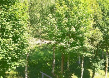 Three-room apartment via Nazionale, Snc, Prazzo - photo 16