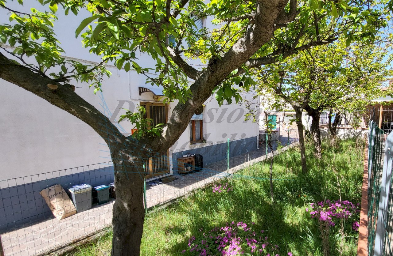 giardino.jpg - Apartment Via della Villana, Rosignano Marittimo - photo 2