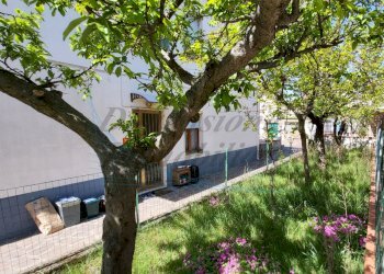 giardino.jpg - Appartamento Via della Villana, Rosignano Marittimo - foto 2