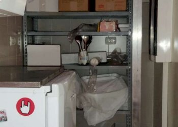 F7DA6DC4-4DEF-414C-A4A2-442F6D54A20F - Negozio via S Alberto, 41 R, Genova (zona Sestri Ponente) - foto 4