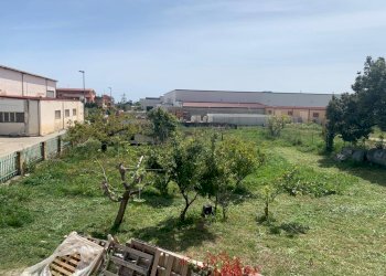 WhatsApp Image 2022-04-14 at 16.49.53 (4).jpeg - Pasticceria Strada Statale 106 Jonica 198, Sellia Marina - foto 4