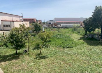 WhatsApp Image 2022-04-14 at 16.49.53 (5).jpeg - Pasticceria Strada Statale 106 Jonica 198, Sellia Marina - foto 5