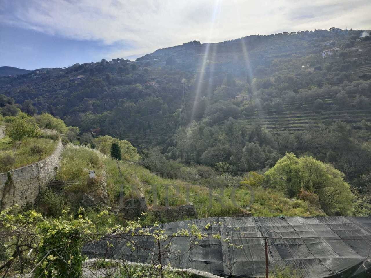 Terreno agricolo via grilli, Vallebona - foto 1