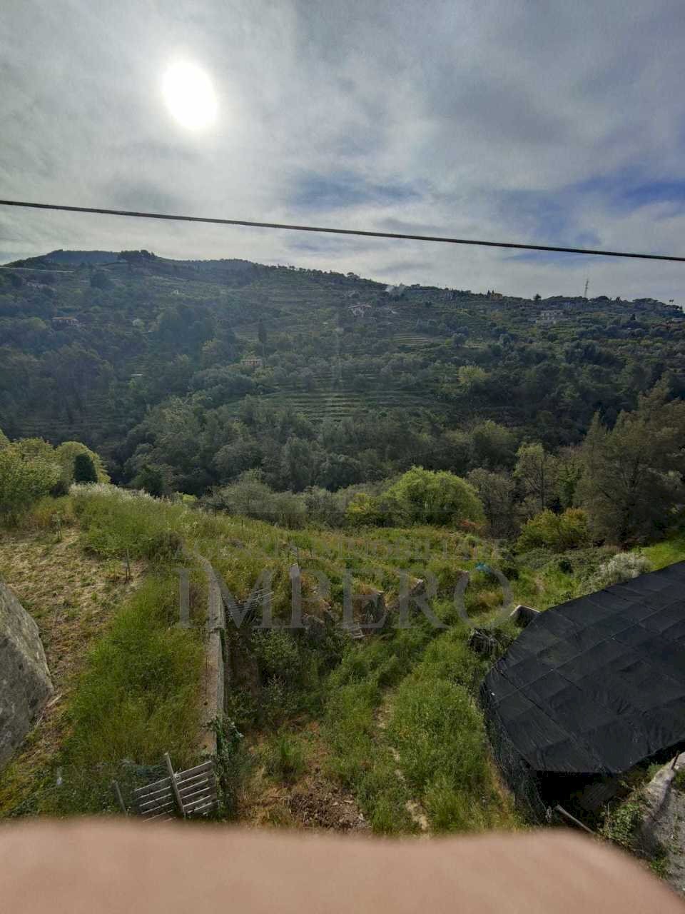 Terreno agricolo via grilli, Vallebona - foto 2