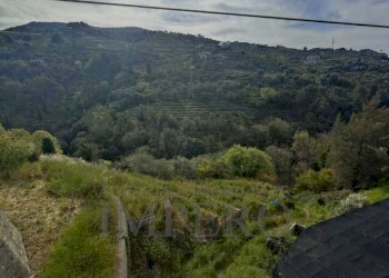 Terreno agricolo via grilli, Vallebona - foto 2