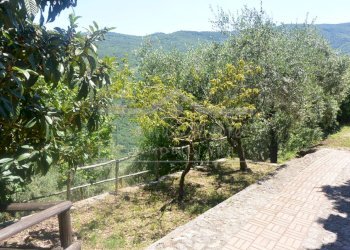 DSC_7997.JPG - Villa a Schiera Via Lanrosso Superiore 10, Quiliano - foto 6