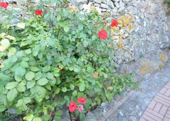 DSC_2665.JPG - Villa a Schiera Via Lanrosso Superiore 10, Quiliano - foto 15