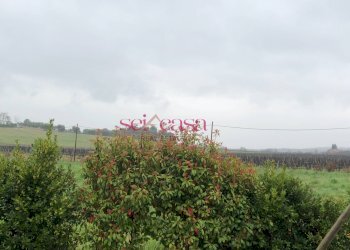 Rustico Magliano in Toscana - foto 5