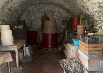 img_4434 - Terratetto - Terracielo via Del Parco, 3, Roncegno Terme - foto 10