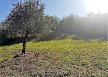 3.jpg - Laboratorio Via Corte Puccinelli, Lucca - foto 9