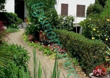 Independent house Millesimo - photo 2
