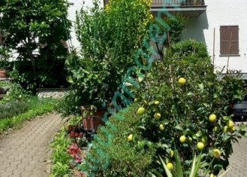Independent house Millesimo - photo 4