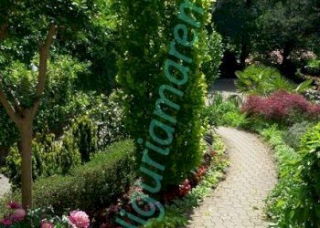 Independent house Millesimo - photo 5
