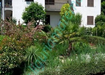 Independent house Millesimo - photo 10