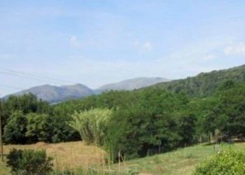 2.jpg - Terreno agricolo all'asta Via Acquasanta snc, Genova - foto 2