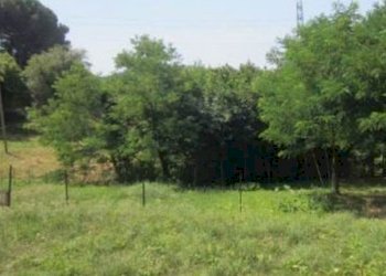 5.jpg - Terreno agricolo all'asta Via Acquasanta snc, Genova - foto 5