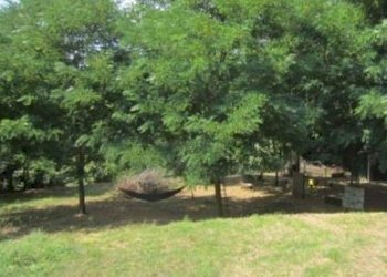 6.jpg - Terreno agricolo all'asta Via Acquasanta snc, Genova - foto 6