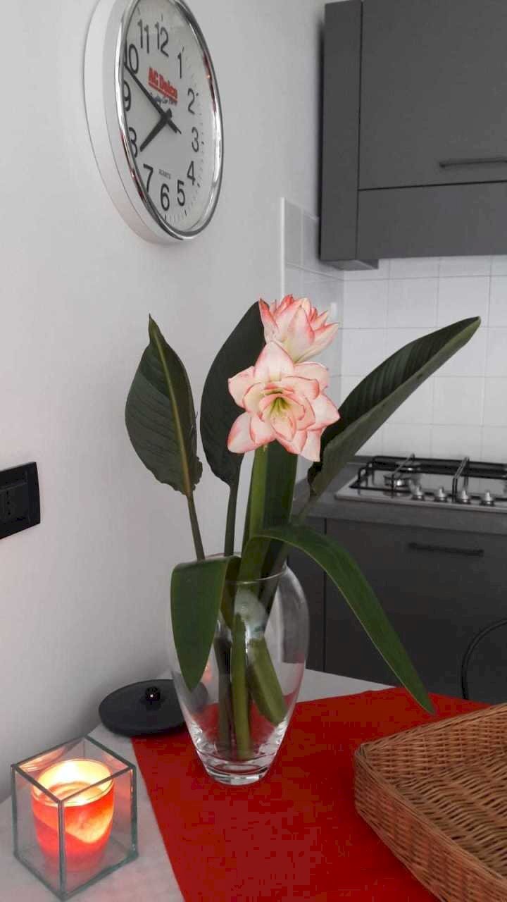 WhatsApp Image 2022-04-21 at 18.31.25.jpeg - Bilocale Lavagna - foto 2