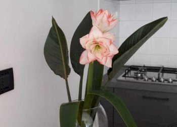 WhatsApp Image 2022-04-21 at 18.31.25.jpeg - Bilocale Lavagna - foto 2