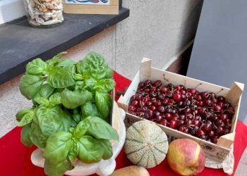 WhatsApp Image 2022-04-21 at 18.31.27 (3).jpeg - Bilocale Lavagna - foto 19