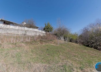 GIARDINO - Casa indipendente Via San Vincenzo, 119, Bibiana - foto 51