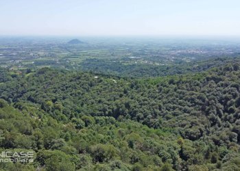 Casa indipendente Via San Vincenzo, 119, Bibiana - foto 97