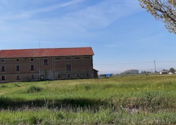 20220414_101246.jpg - Rustico Cadelbosco di Sopra - foto 1