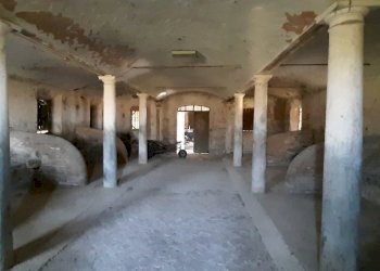 20220414_092048.jpg - Rustico Cadelbosco di Sopra - foto 3