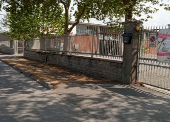 Capannone Piacenza - foto 4