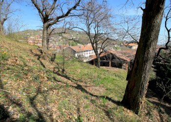 terreno - Rustico Via Castellaro 6, Nogarole Vicentino - foto 12