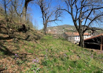 terreno - Rustico Via Castellaro 6, Nogarole Vicentino - foto 13