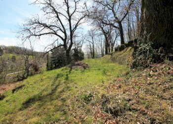 terreno - Rustico Via Castellaro 6, Nogarole Vicentino - foto 14