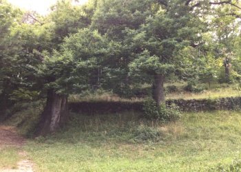 Rustico Via Castellaro 6, Nogarole Vicentino - foto 15