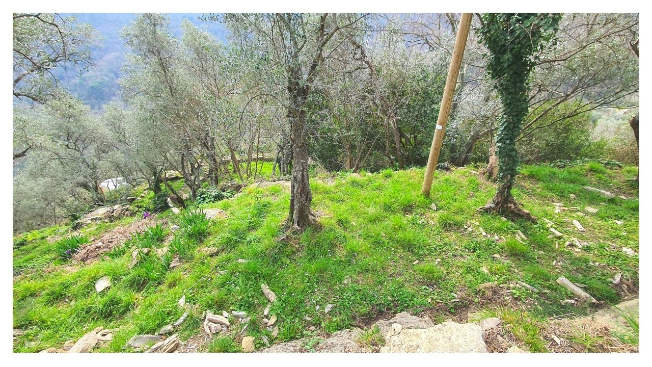 4.jpg - Portion of a house Rapallo - photo 2