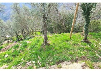 4.jpg - Porzione di casa Rapallo - foto 2