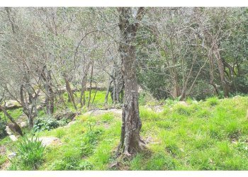 9.jpg - Porzione di casa Rapallo - foto 8