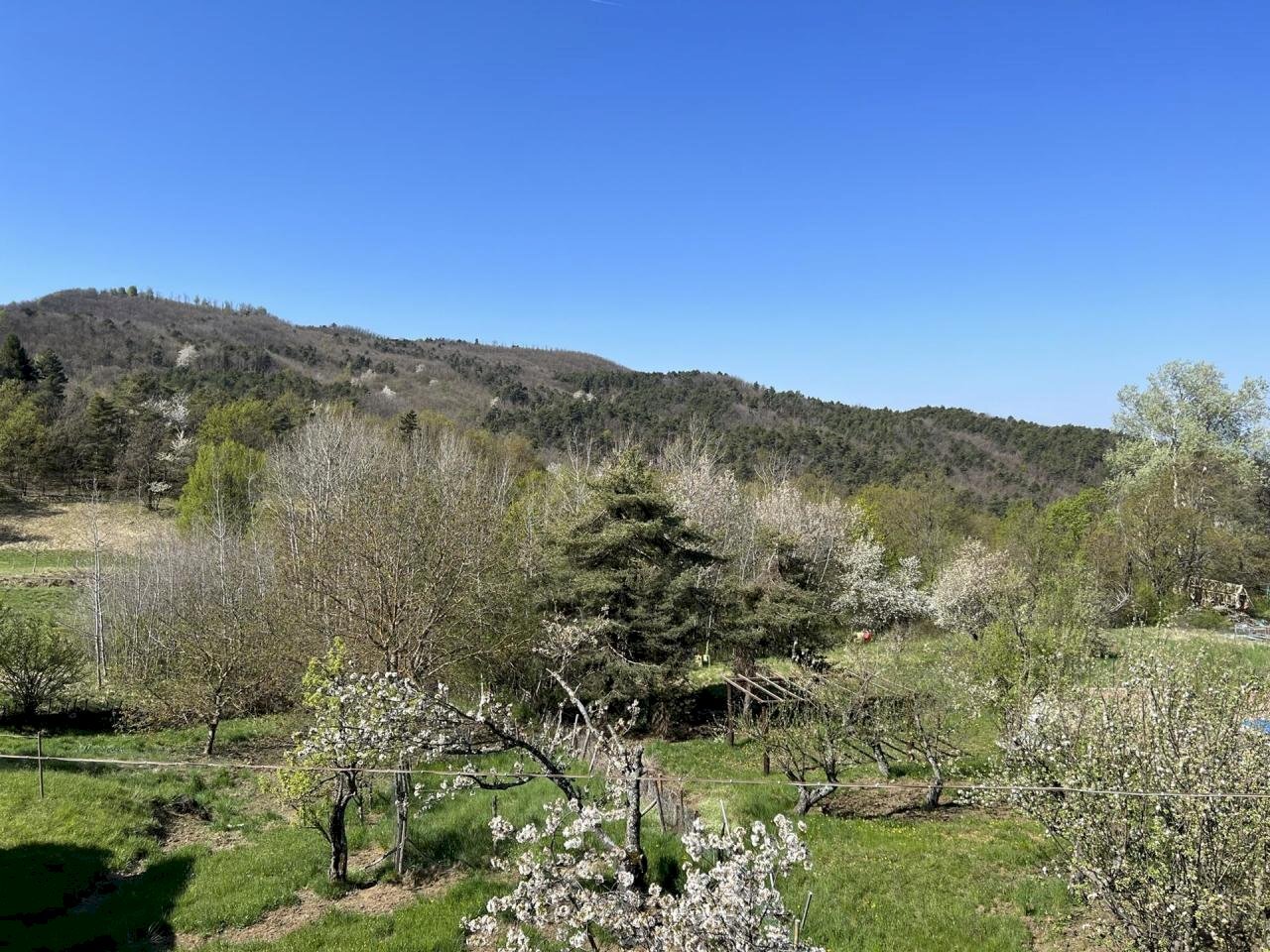 Rif  1149 19.jpg - Two-room apartment SP49 23, Sassello - photo 3