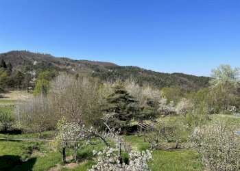 Rif  1149 19.jpg - Bilocale SP49 23, Sassello - foto 3