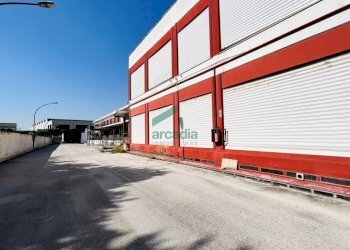 Vista laterale capannone - Locale Commerciale Viale Biagio Accolti Gil 22, Bari - foto 11