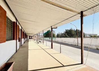 Vista spazio sotto pensilina - Locale Commerciale Viale Biagio Accolti Gil 22, Bari - foto 8