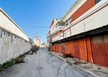 Vista laterale capannone - Locale Commerciale Viale Biagio Accolti Gil 22, Bari - foto 15