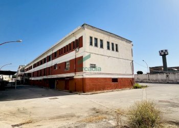 Vista retro capannone - Locale Commerciale Viale Biagio Accolti Gil 22, Bari - foto 16