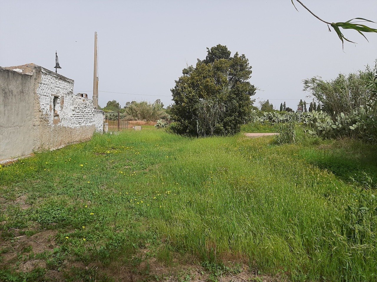1.jpg - Terreno edificabile Monastir - foto 1