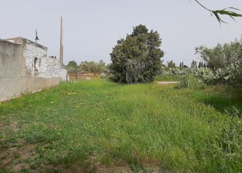 1.jpg - Terreno edificabile Monastir - foto 1